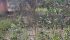 WhatsApp Image 2025-03-11 at 16.17.51 (1).jpeg